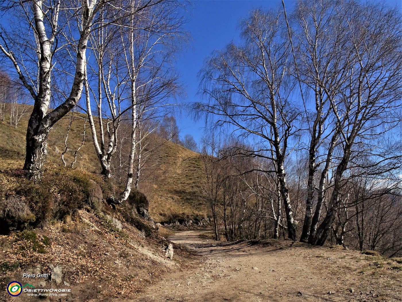 64 Rientro al punto di partenza dalla stradetta agrosilvopastorale-sent.531.JPG